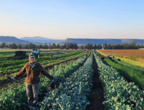 Are you there fall? It’s us the Rainshadow farmers!